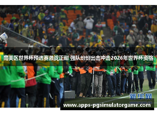 南美区世界杯预选赛激战正酣 强队纷纷出击冲击2026年世界杯资格