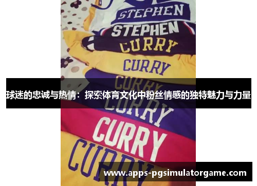 球迷的忠诚与热情：探索体育文化中粉丝情感的独特魅力与力量