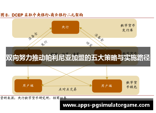 双向努力推动帕利尼亚加盟的五大策略与实施路径