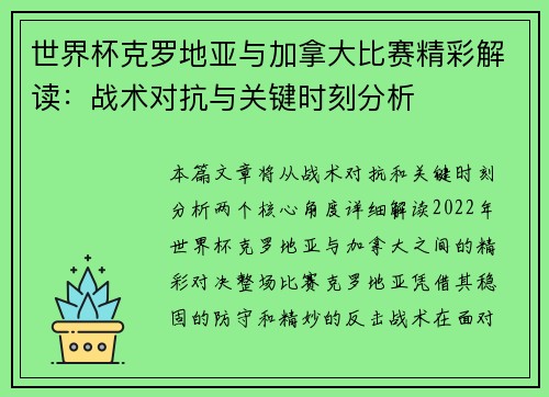 世界杯克罗地亚与加拿大比赛精彩解读：战术对抗与关键时刻分析