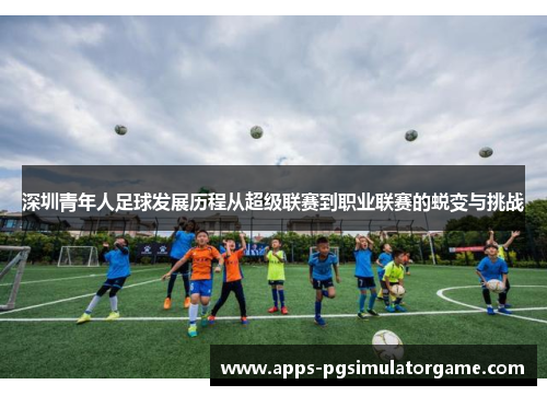 深圳青年人足球发展历程从超级联赛到职业联赛的蜕变与挑战