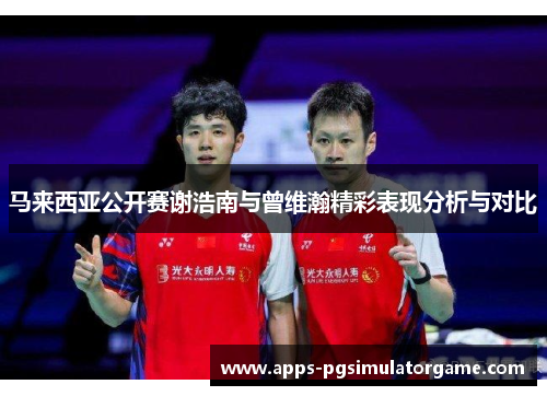 马来西亚公开赛谢浩南与曾维瀚精彩表现分析与对比