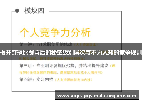 揭开夺冠比赛背后的秘密级别层次与不为人知的竞争规则