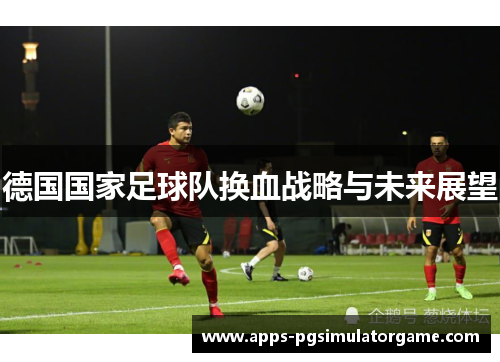 德国国家足球队换血战略与未来展望